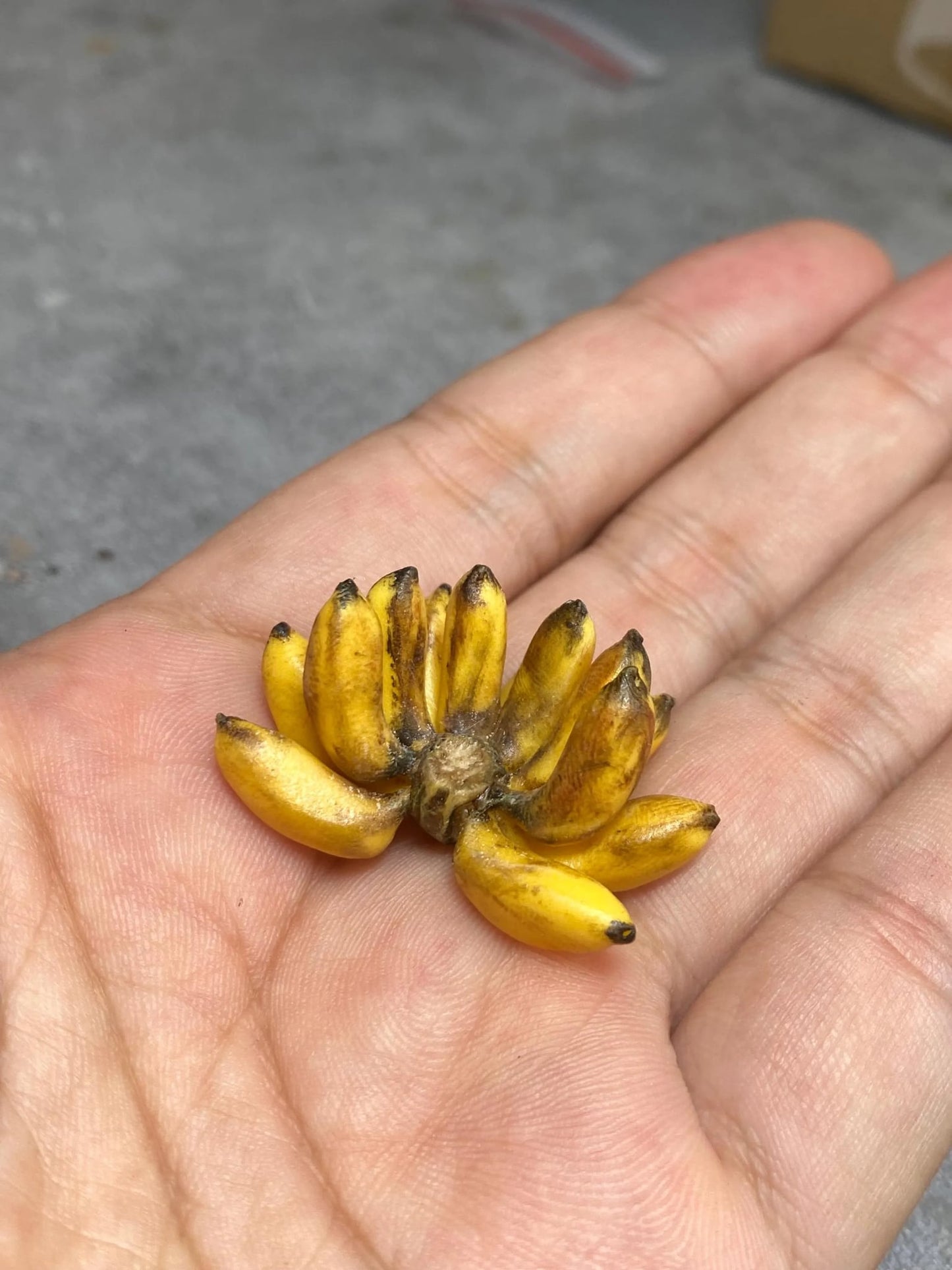 1/12 Banana Miniature Clay Fruit