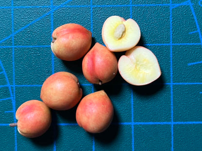 1/12 Peach Clay Miniature Fruit (5pcs- WITHOUT BAMBOO BASKET)