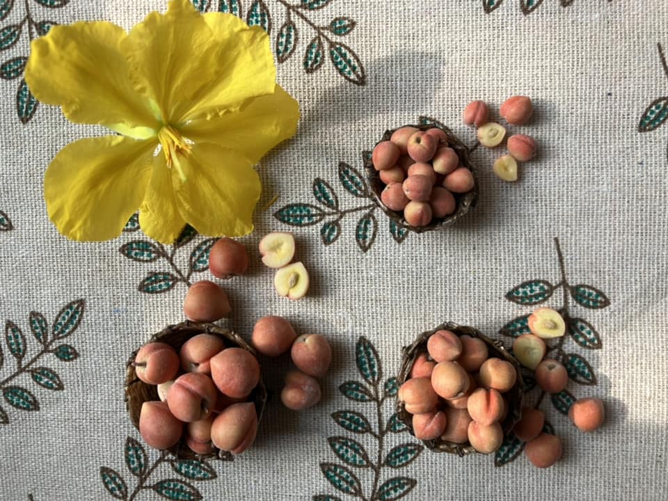 1/12 Peach Clay Miniature Fruit (5pcs- WITHOUT BAMBOO BASKET)