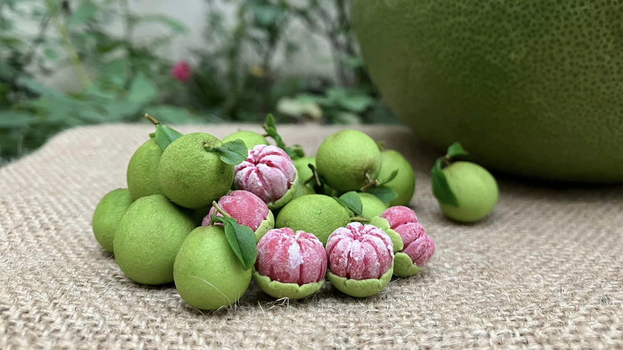 1/12 Pomelo grapefruit Miniature Fruit ( 3pcs)
