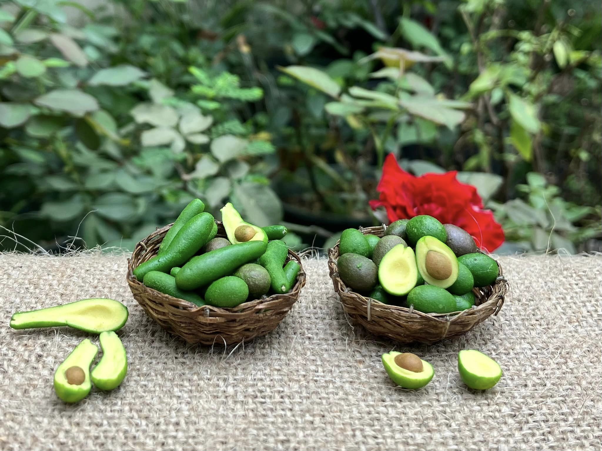 1/12 Avocado Miniature Fruit (5pcs- WITHOUT BAMBOO BASKET)