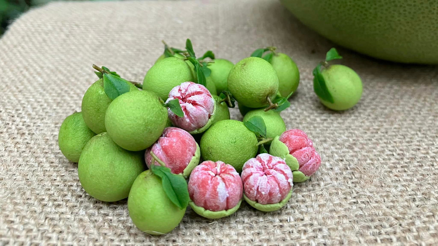 1/12 Pomelo grapefruit Miniature Fruit ( 3pcs)