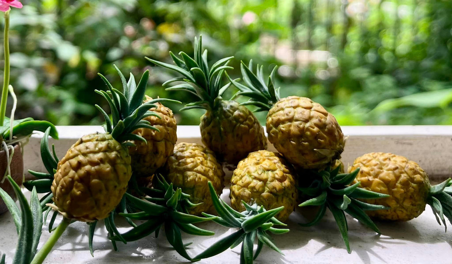 1/12 Pineapple Clay Miniature Fruit (3 pcs - NOT INCLUDE BAMBOO BASKET)