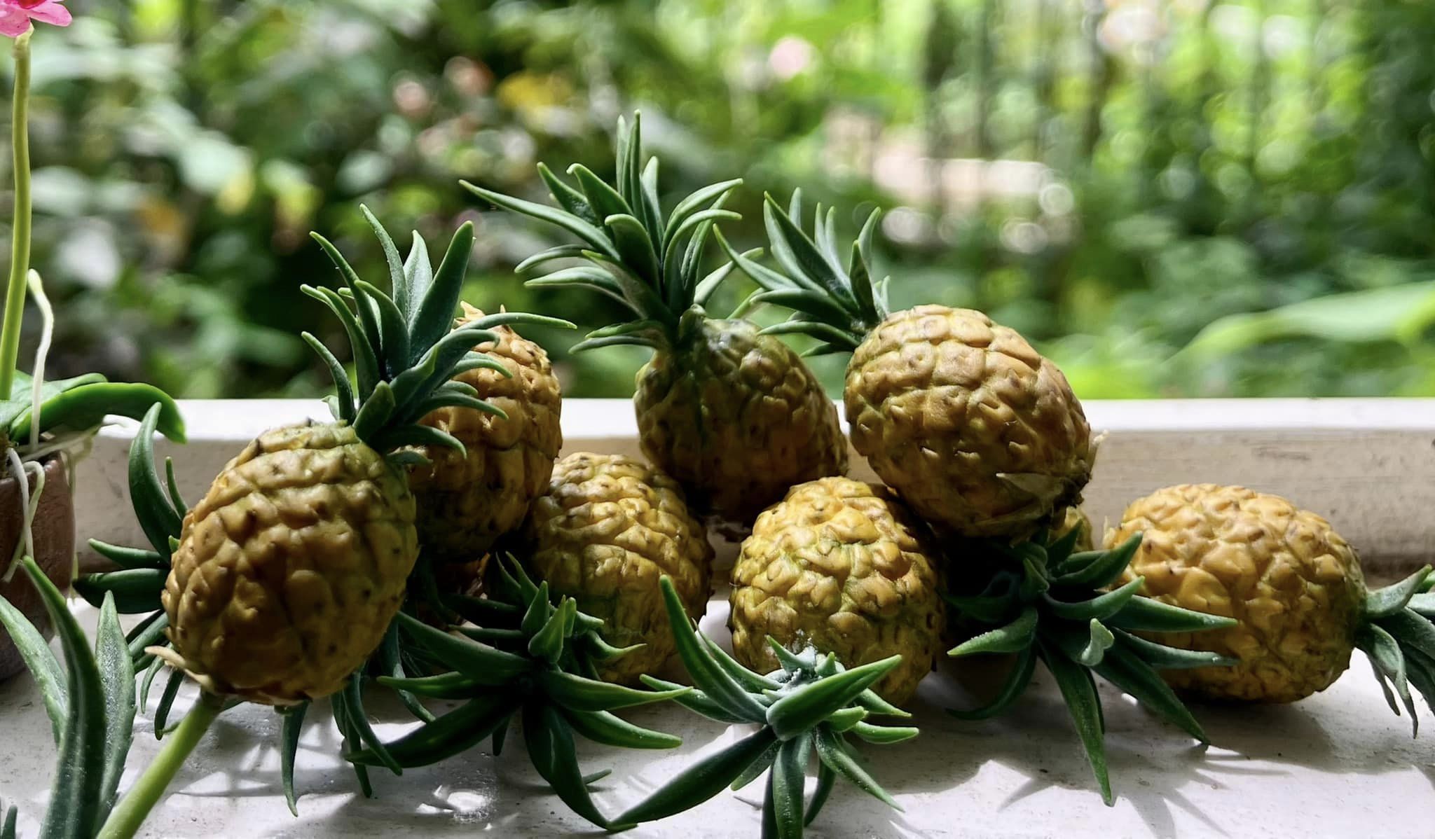 1/12 Pineapple Clay Miniature Fruit (3 pcs - NOT INCLUDE BAMBOO BASKET)