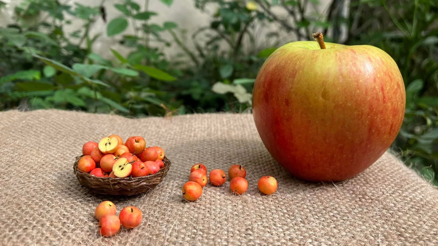 1/12 Apple Miniature Fruit (5pcs- WITHOUT BAMBOO BASKET)