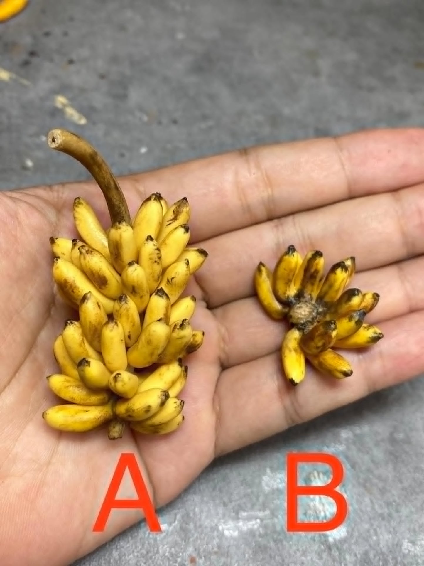 1/12 Banana Miniature Clay Fruit