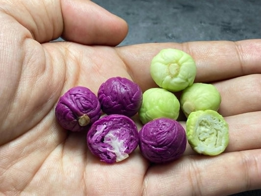 Cabbage scale 1:12 clay Miniature