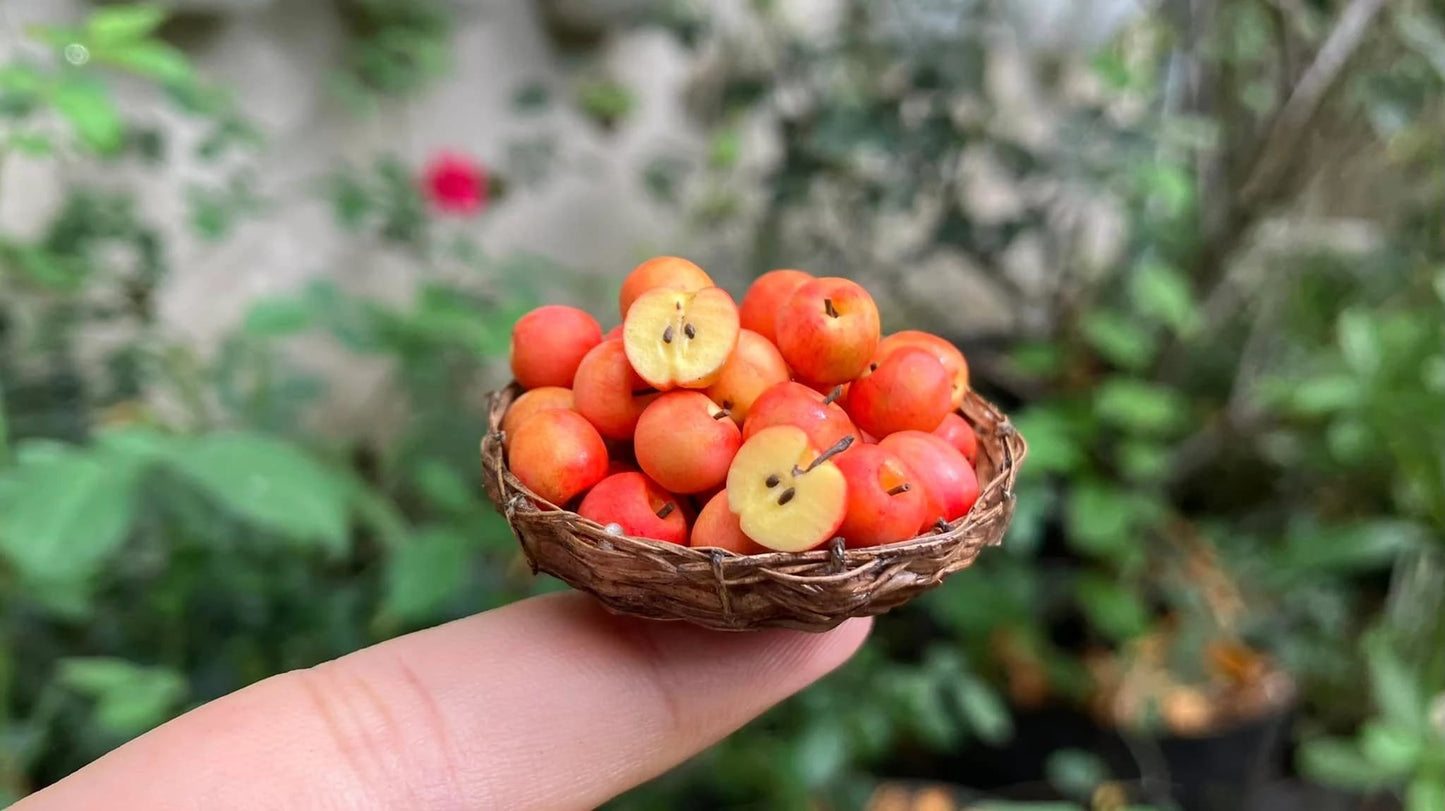 1/12 Apple Miniature Fruit (5pcs- WITHOUT BAMBOO BASKET)