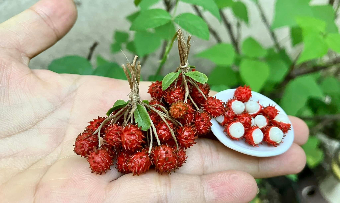 1/12 Rambutan Miniature Fruit ( 1 beam/15 pcs)