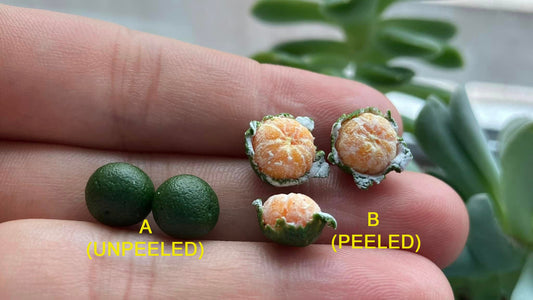 1/12 green Orange Miniature Fruit ( 5pcs- NO Bamboo basket)