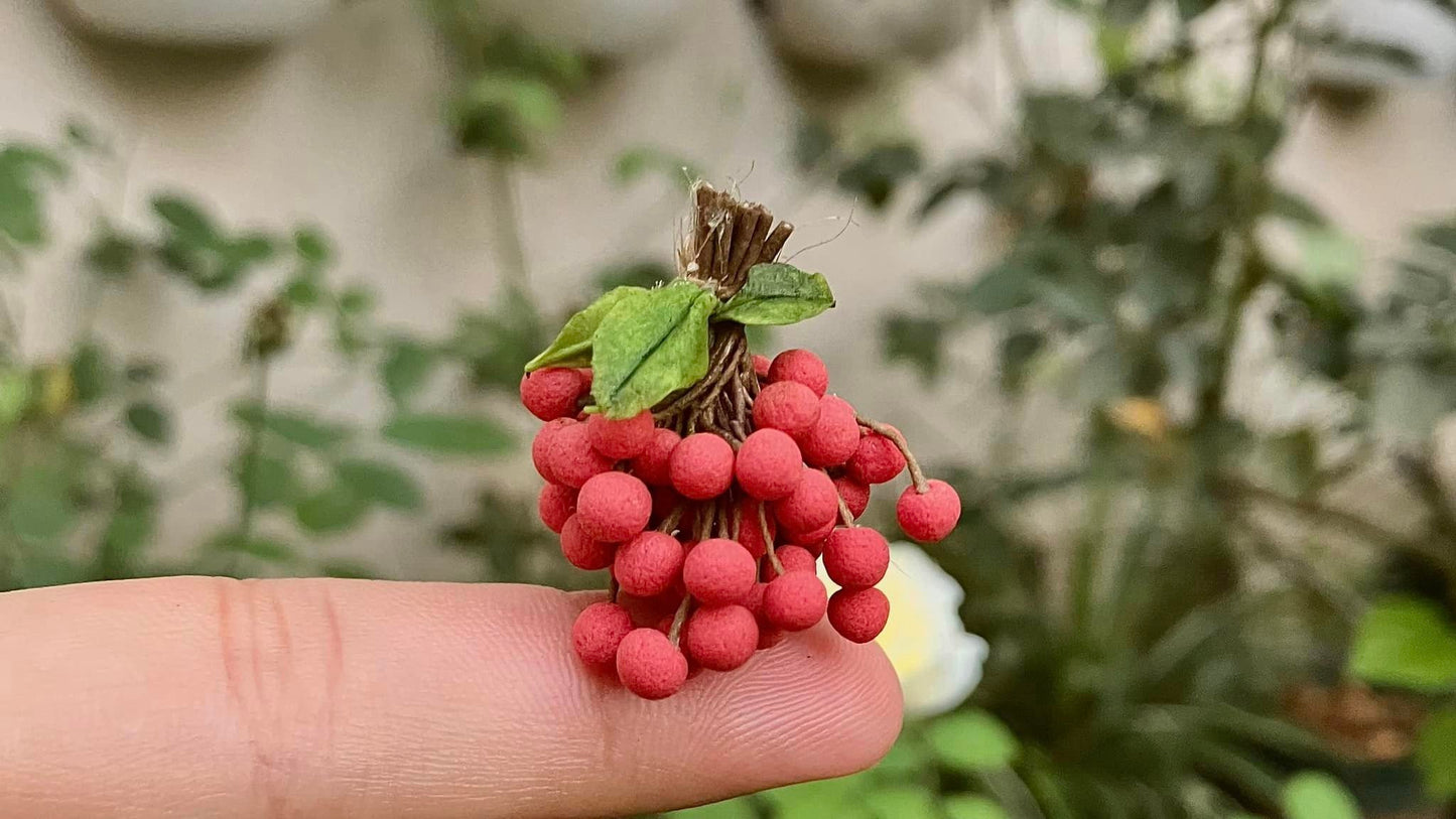 1/12 Lychee Miniature Fruit ( 1 bunch/50pcs)