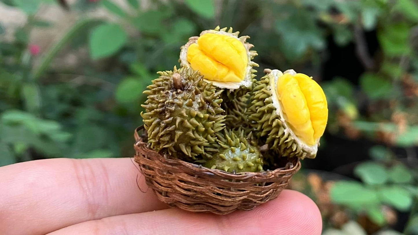 1/12 Durian Miniature Fruit ( WITHOUT bamboo basket)