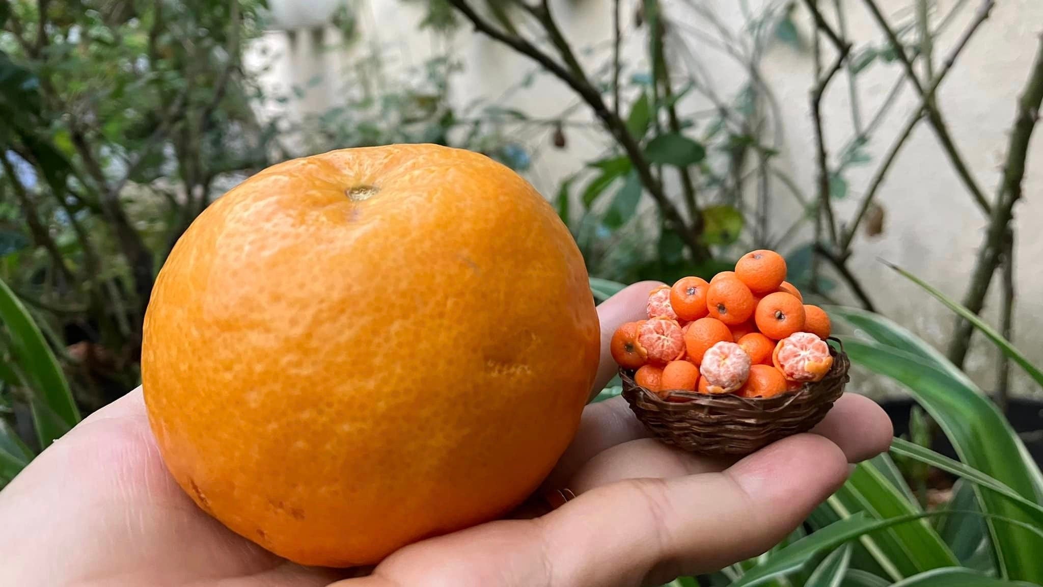 1/12 Orange Miniature Fruit ( 5pcs- NO Bamboo basket)