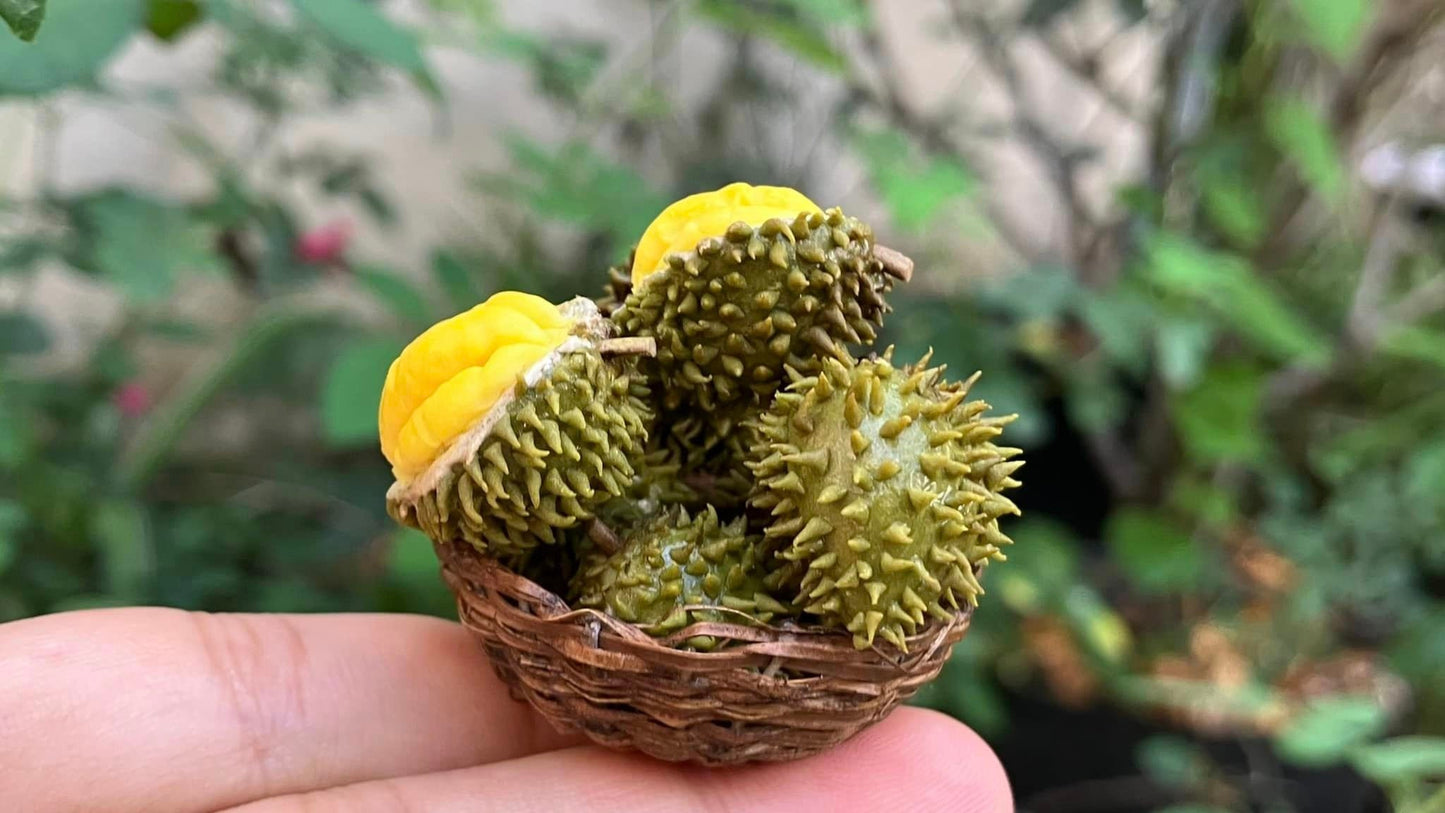 1/12 Durian Miniature Fruit ( WITHOUT bamboo basket)