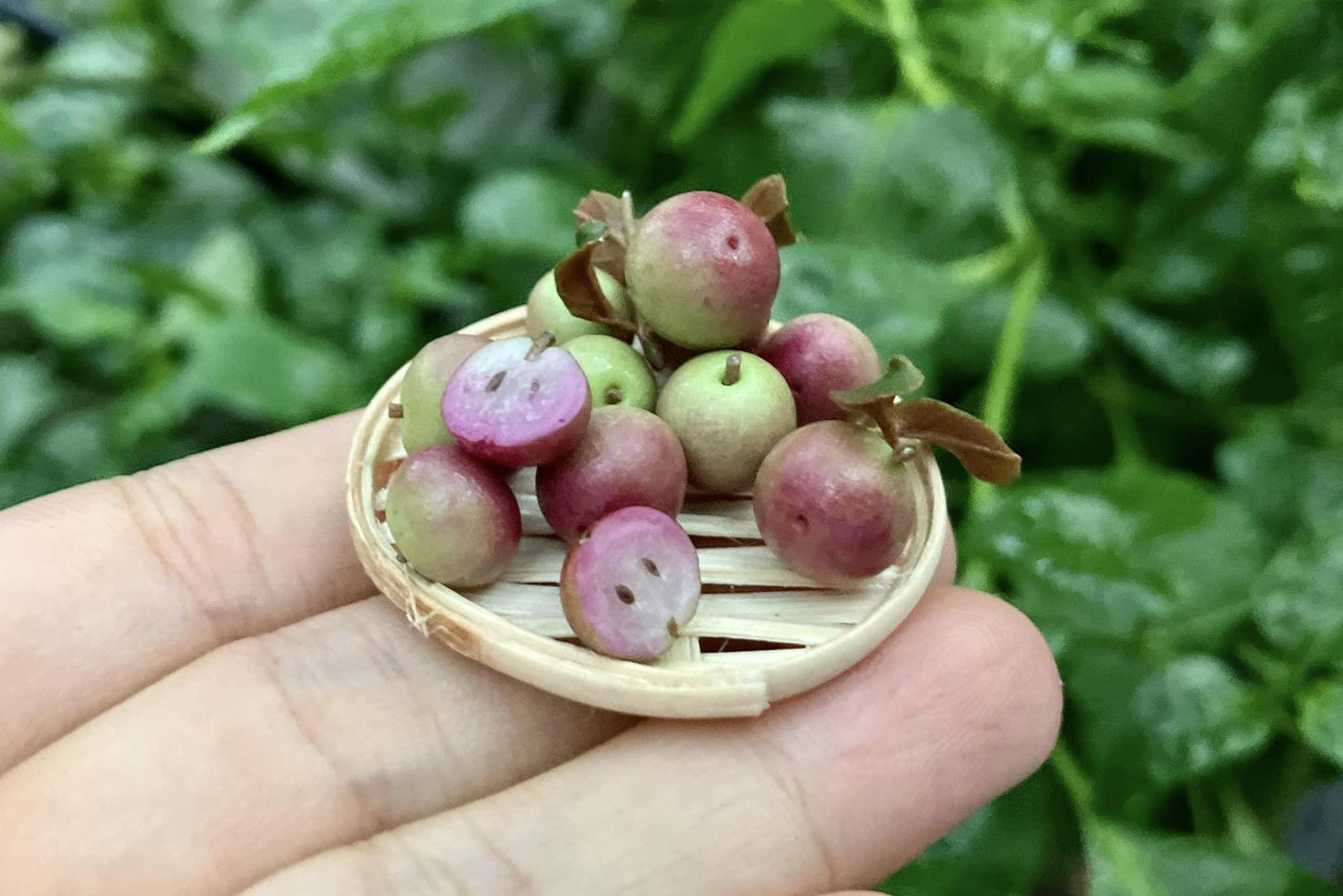 1/12 Vietnamese star apple miniature